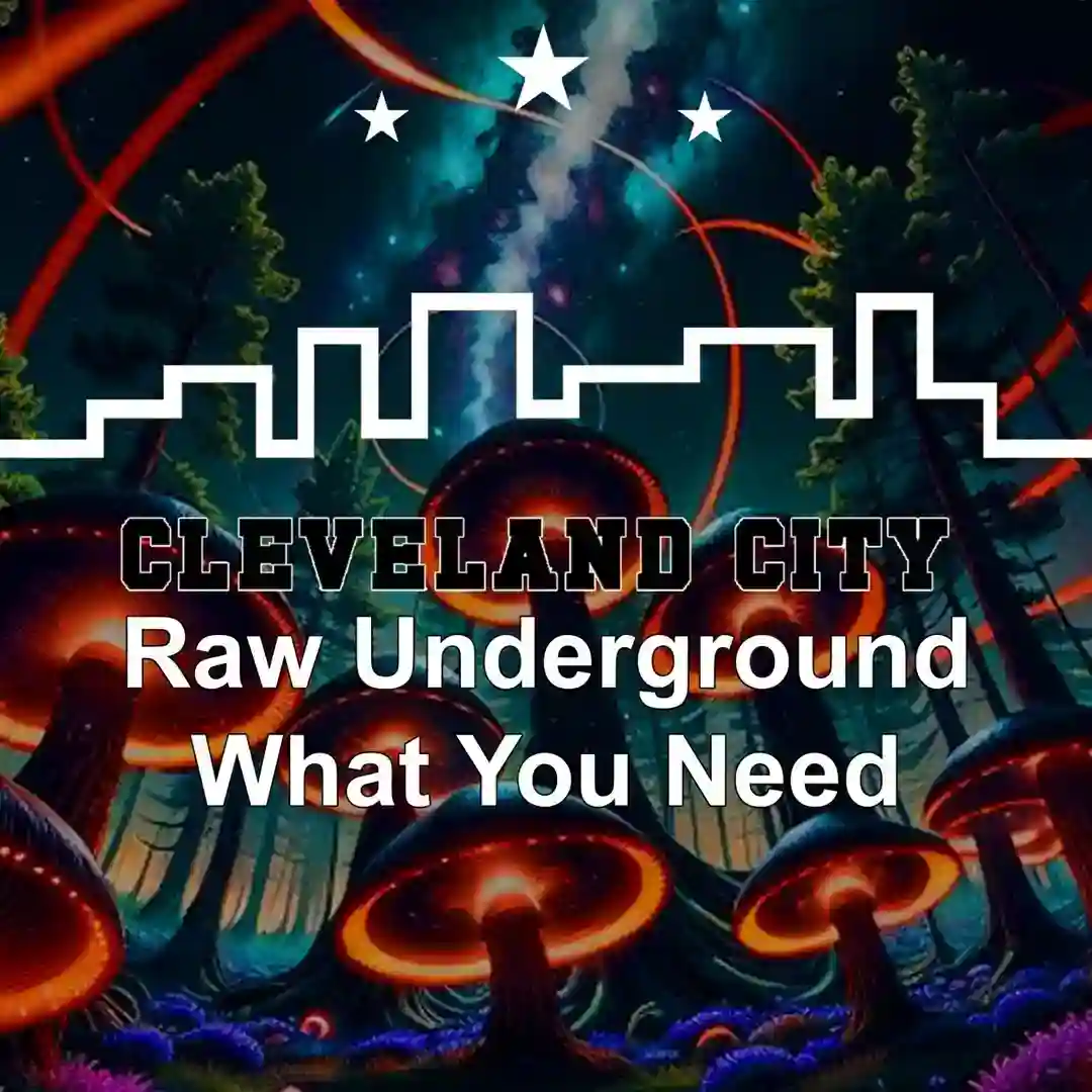 What You Need cover