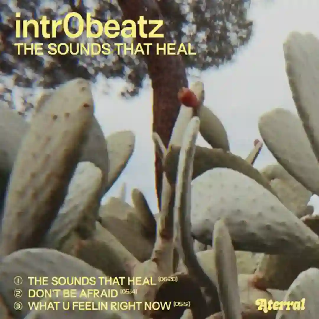 Don't Be Afraid cover