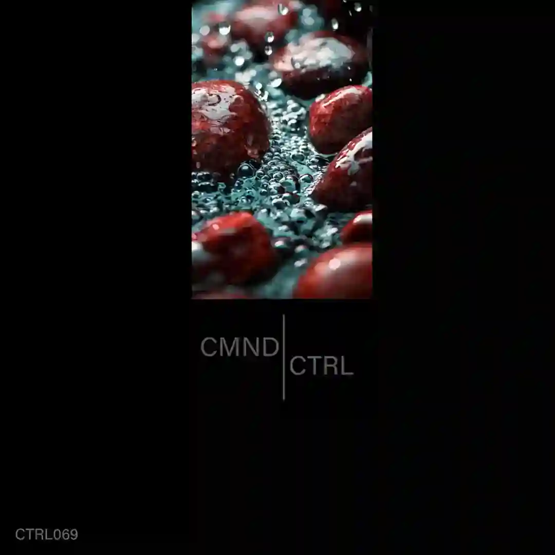 Badlands (B. Riley Remix) cover