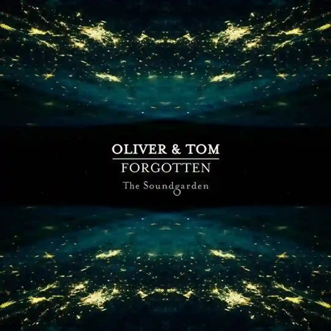 Moonlight Walk (Original Mix) cover