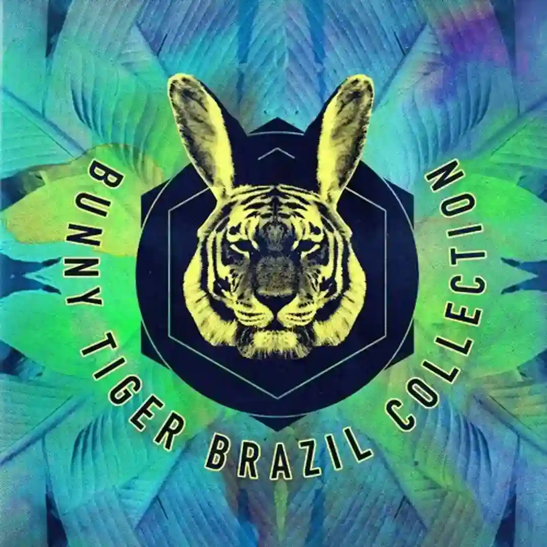 Crazy Bitch (Original Mix) cover