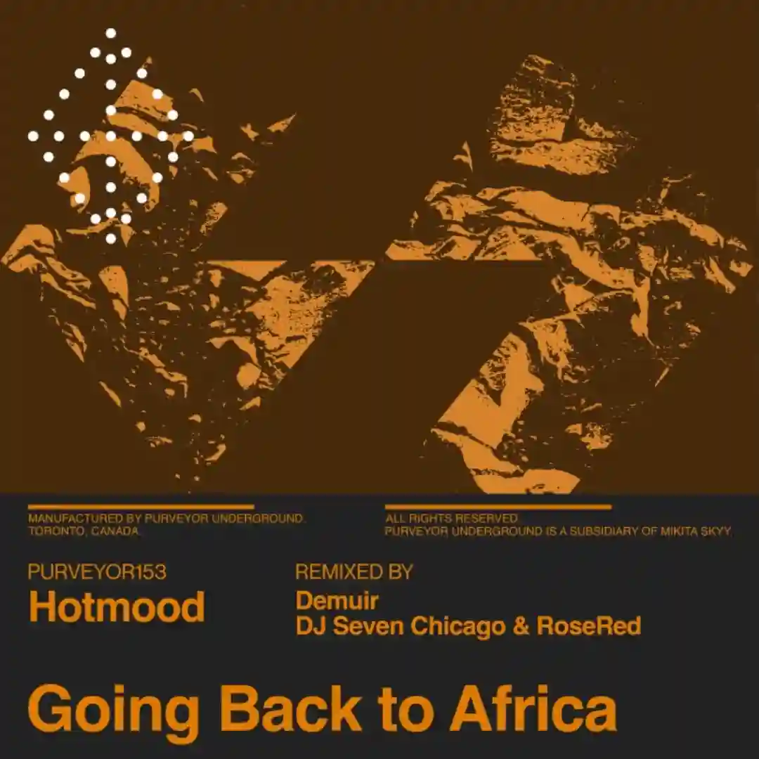 Going Back to Africa (DJ Seven Chicago & RoseRed Remix) cover