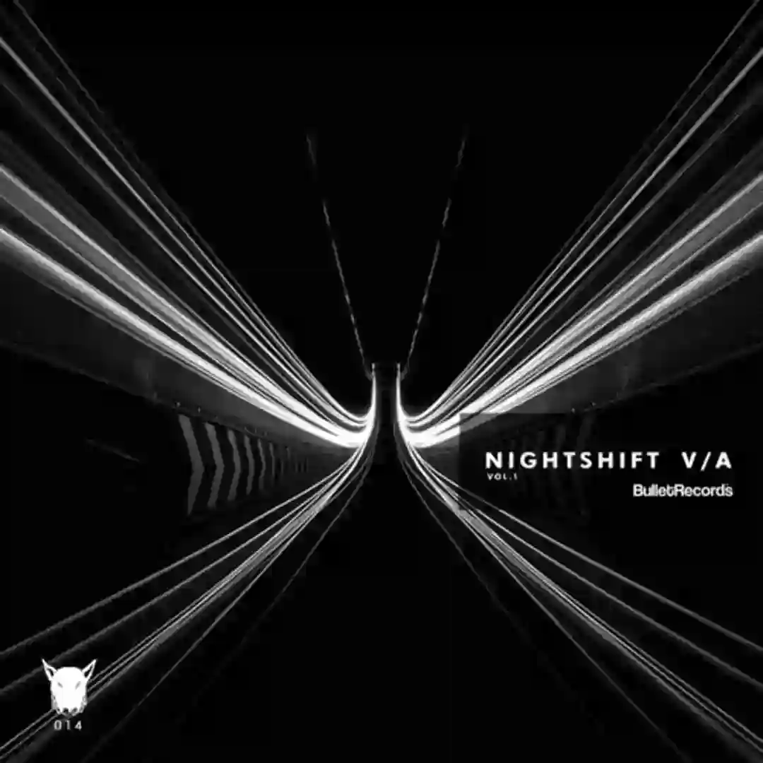 Animal Nocturno (Original Mix) cover