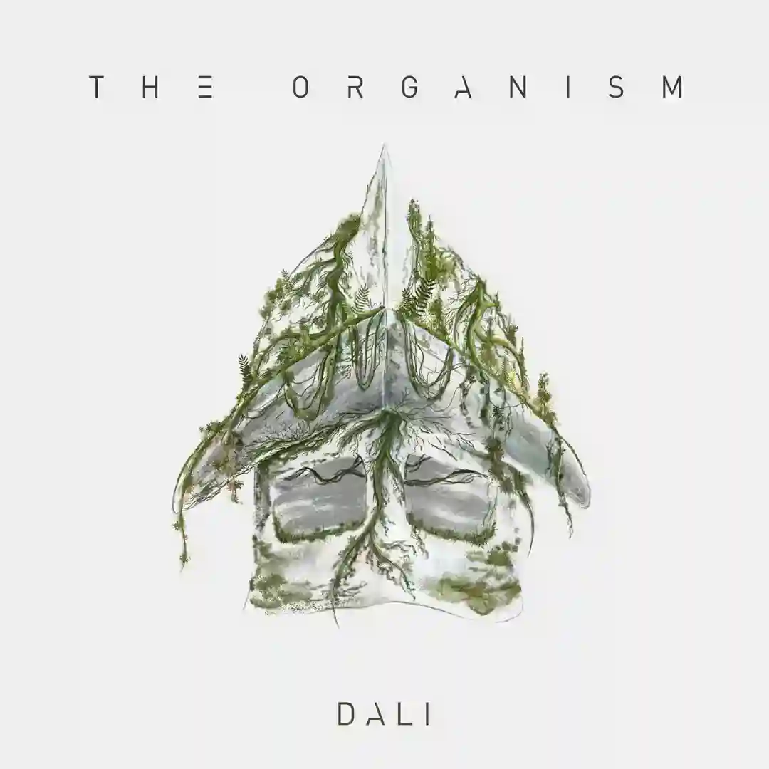Dali cover