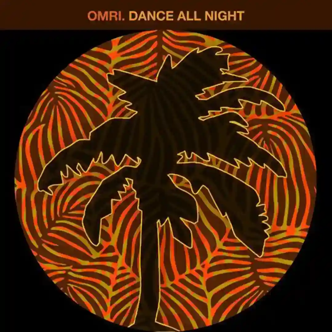 Dance All Night (Don't Wanna Fight) (Extended) cover
