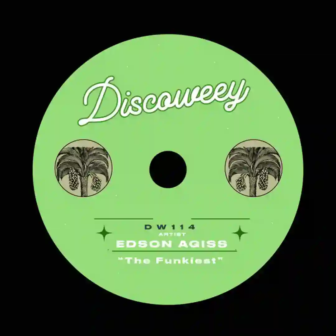 The Funkiest (Original Mix) cover