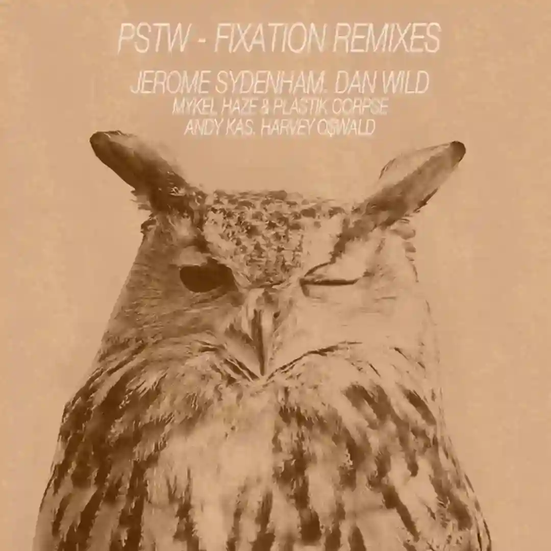 Fixation (Dan Wild Remix) cover