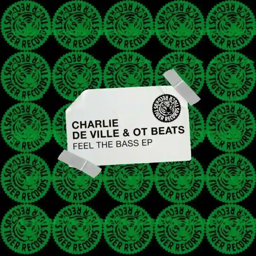 Da Party (Extended Mix) cover