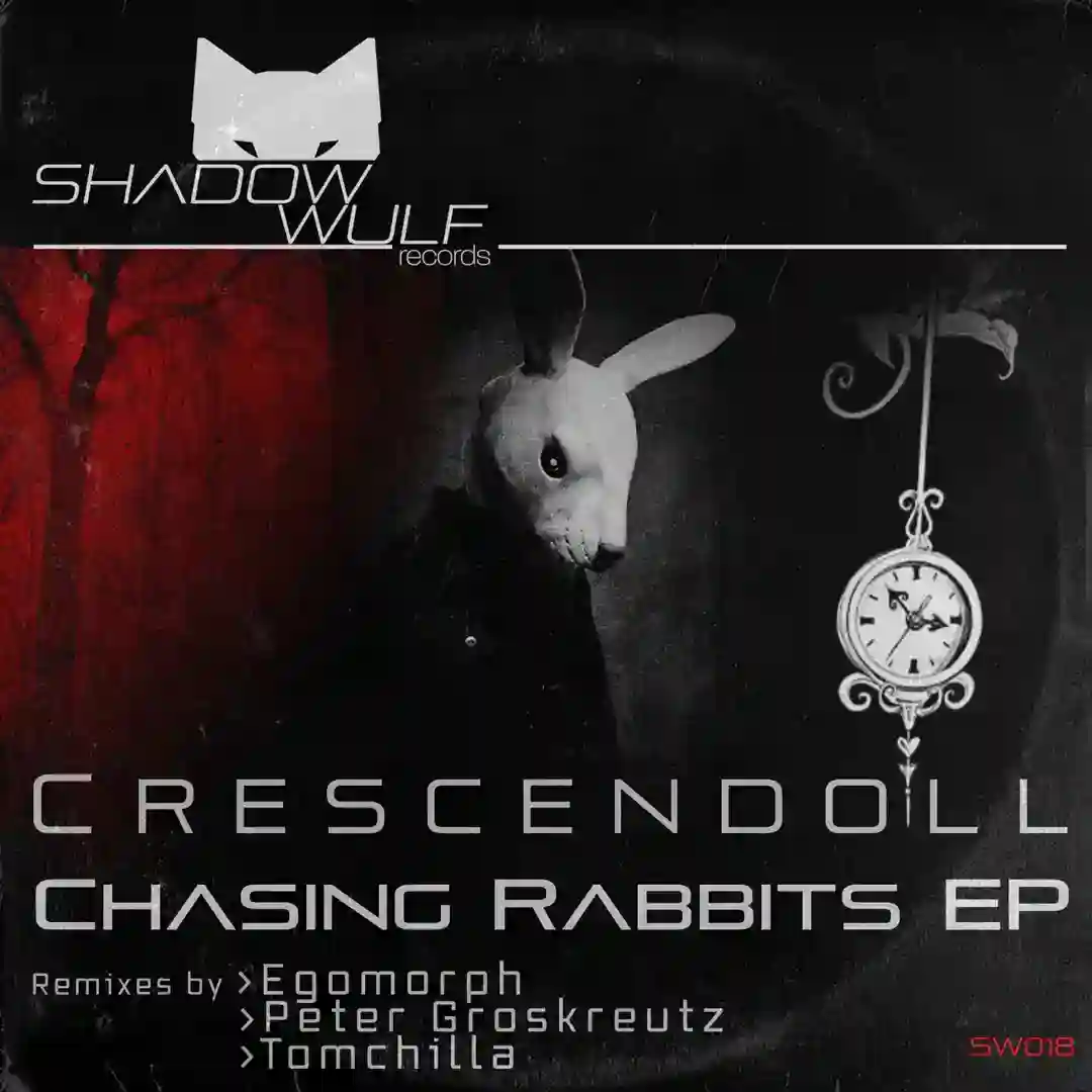 Chasing Rabbits feat. Leah Ludwig (Soundscape Extended Mix) cover