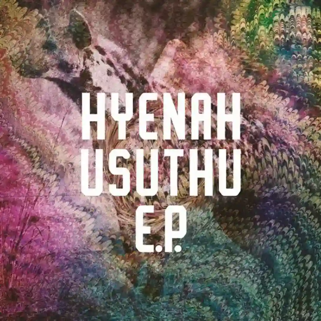 Usuthu (Mr Raoul K Remix) cover