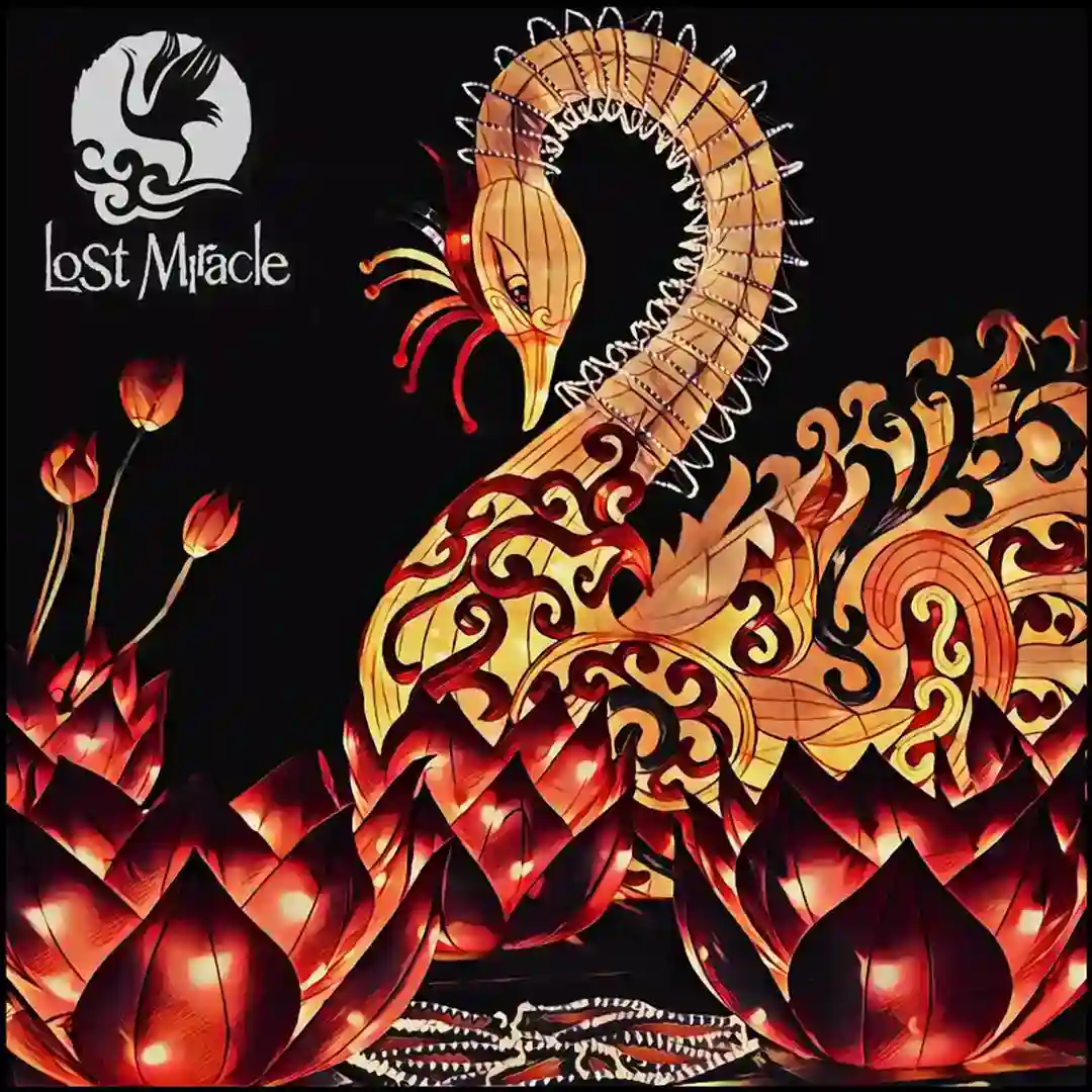 Wonders cover