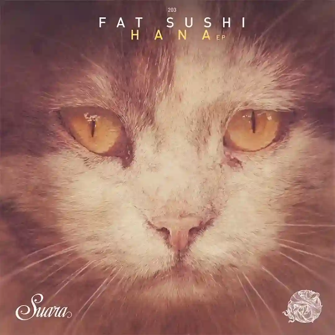 Hana (Original Mix) cover