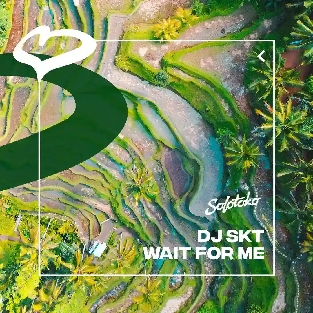 Wait For Me (Extended Mix) cover