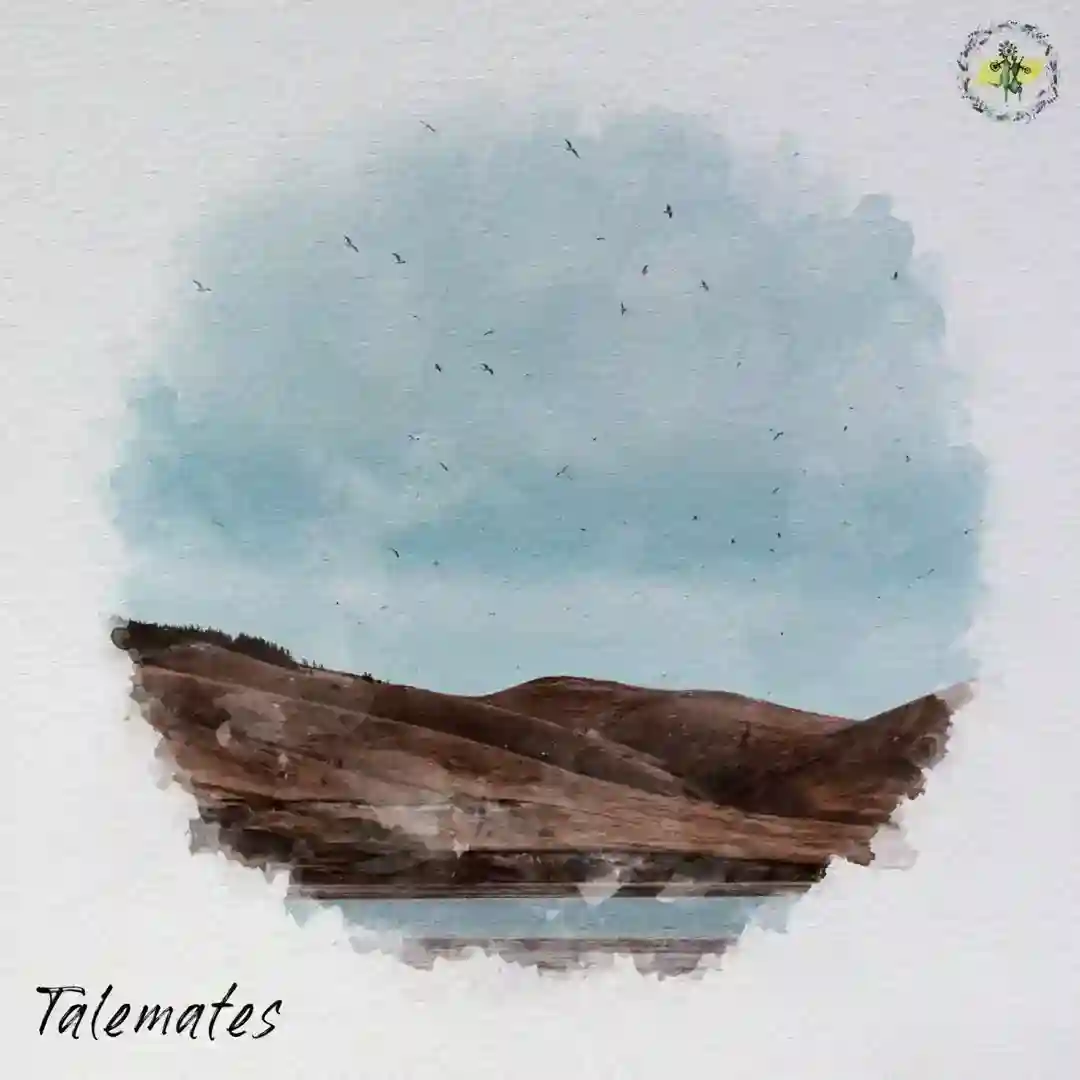 Like This (Original Mix) cover