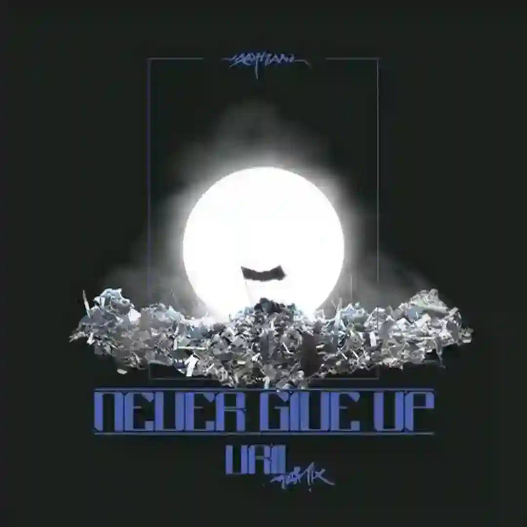 Never Give Up (Vril Remix) cover