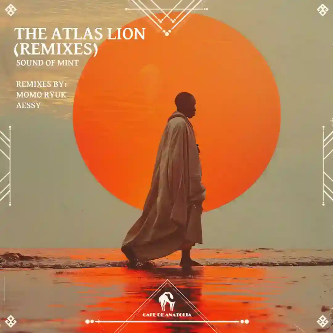 Nimepotea (AESSY Remix) cover