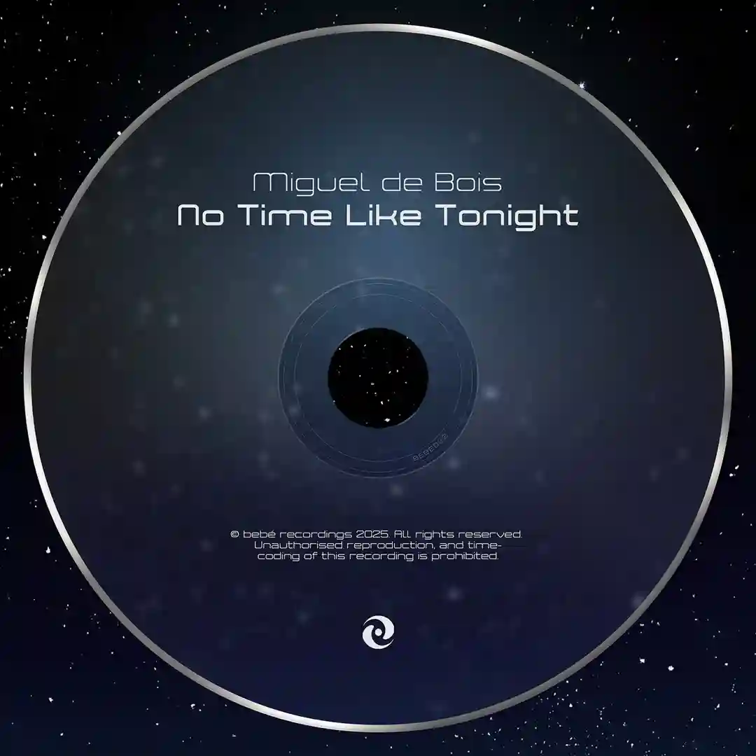 No Time Like Tonight (Original Mix) cover