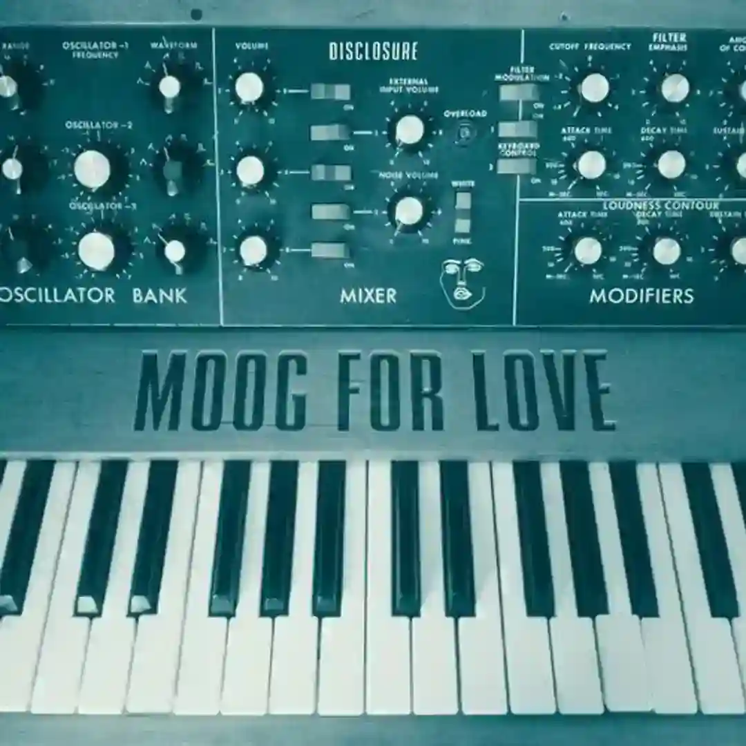 Moog For Love (Original Mix) cover