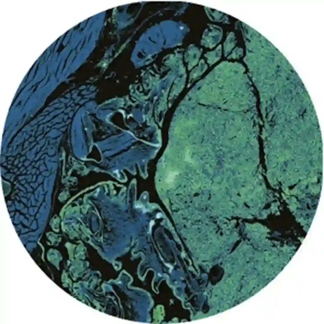 Blind cover