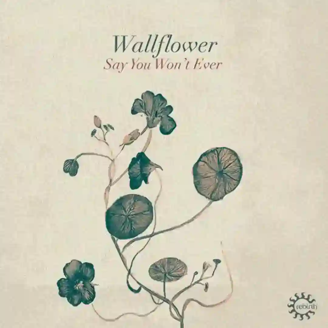 Say You Won't Ever (Original Mix) cover