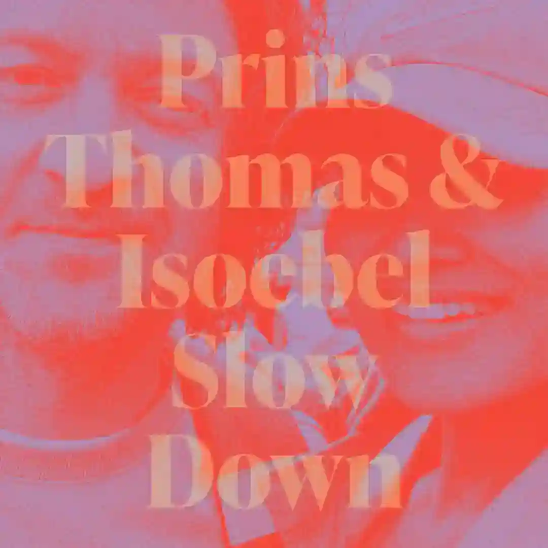 Slow Down  (Original Mix) cover