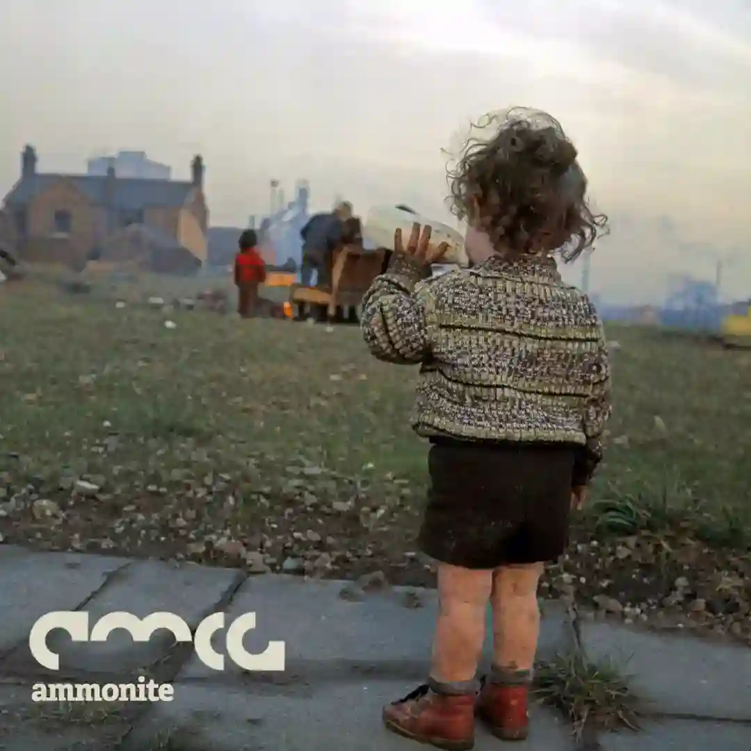 Ammonite (Hold on to That) cover