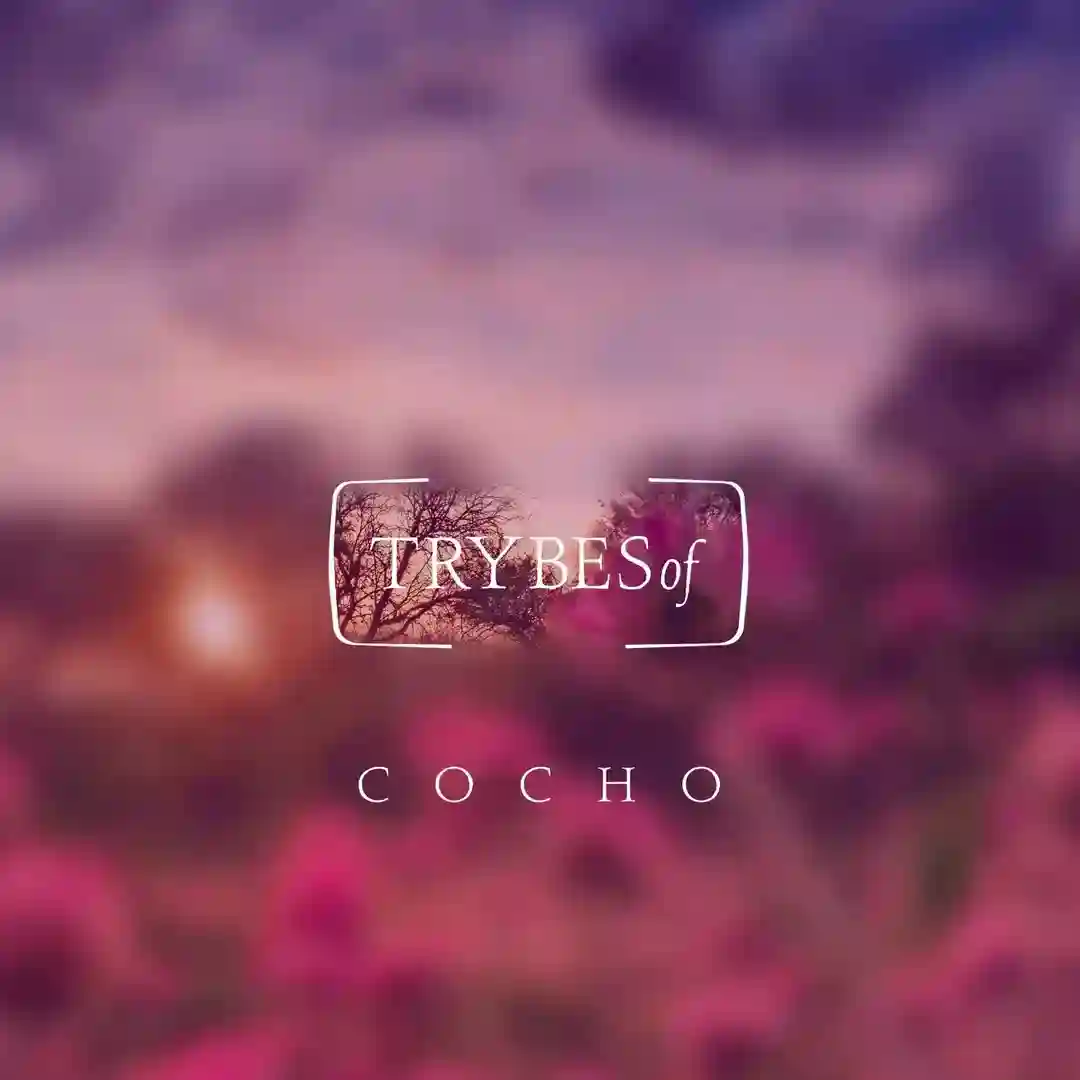 Ramé cover