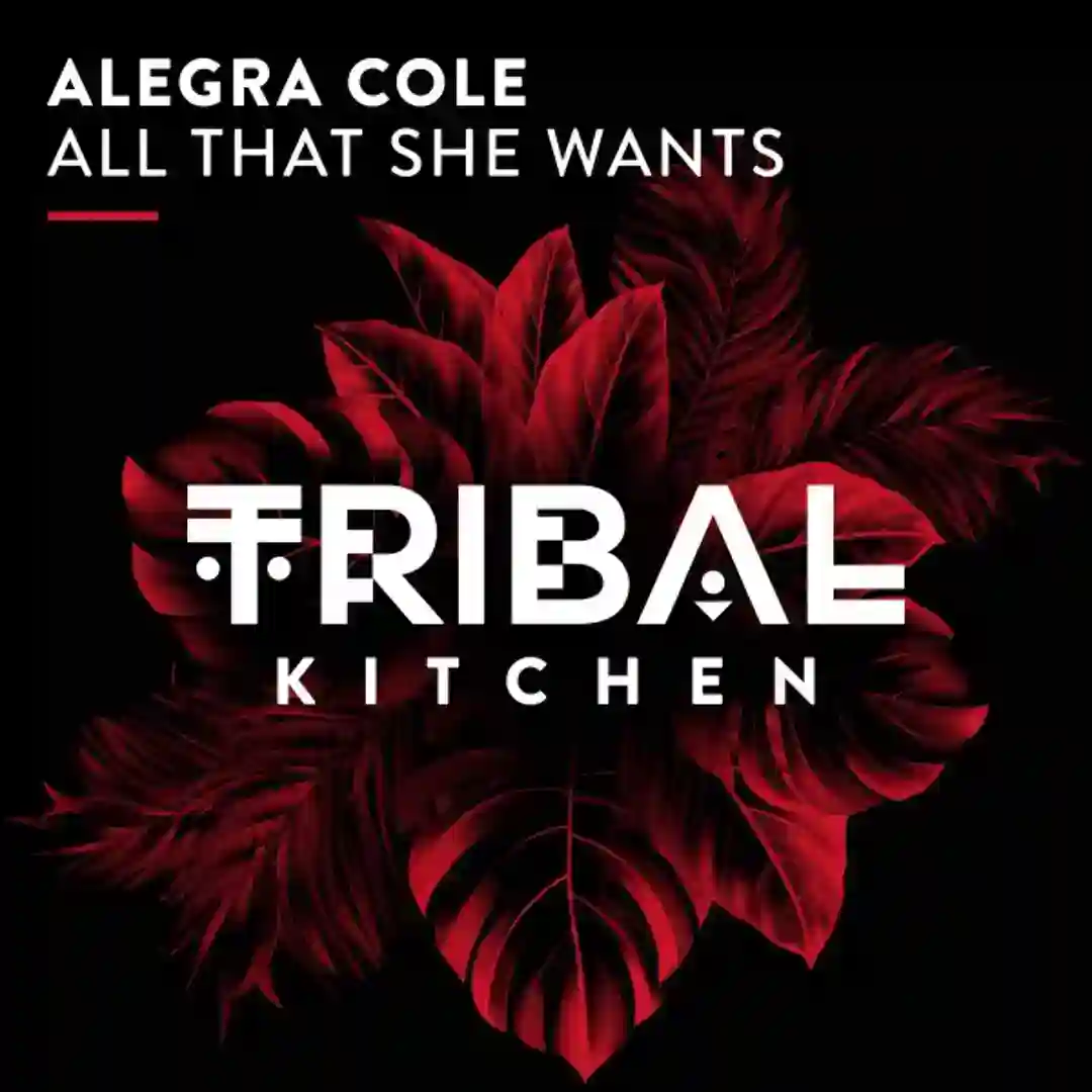 All That She Wants (Extended Mix) cover