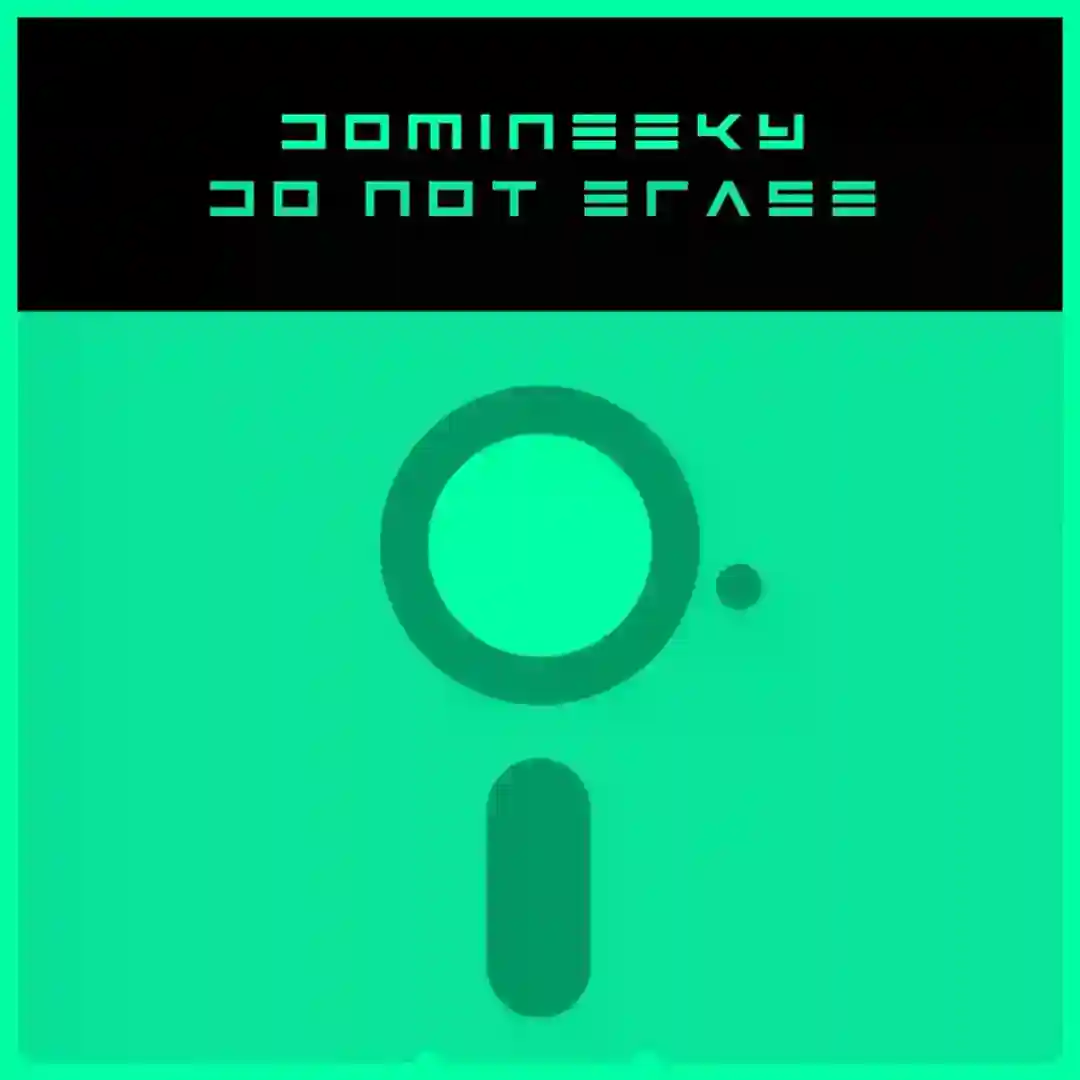 Feel Like I Feel Make A New Day (Domineeky Dub) cover