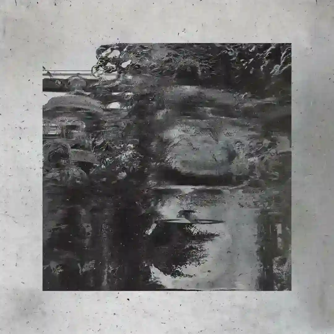 Hope cover