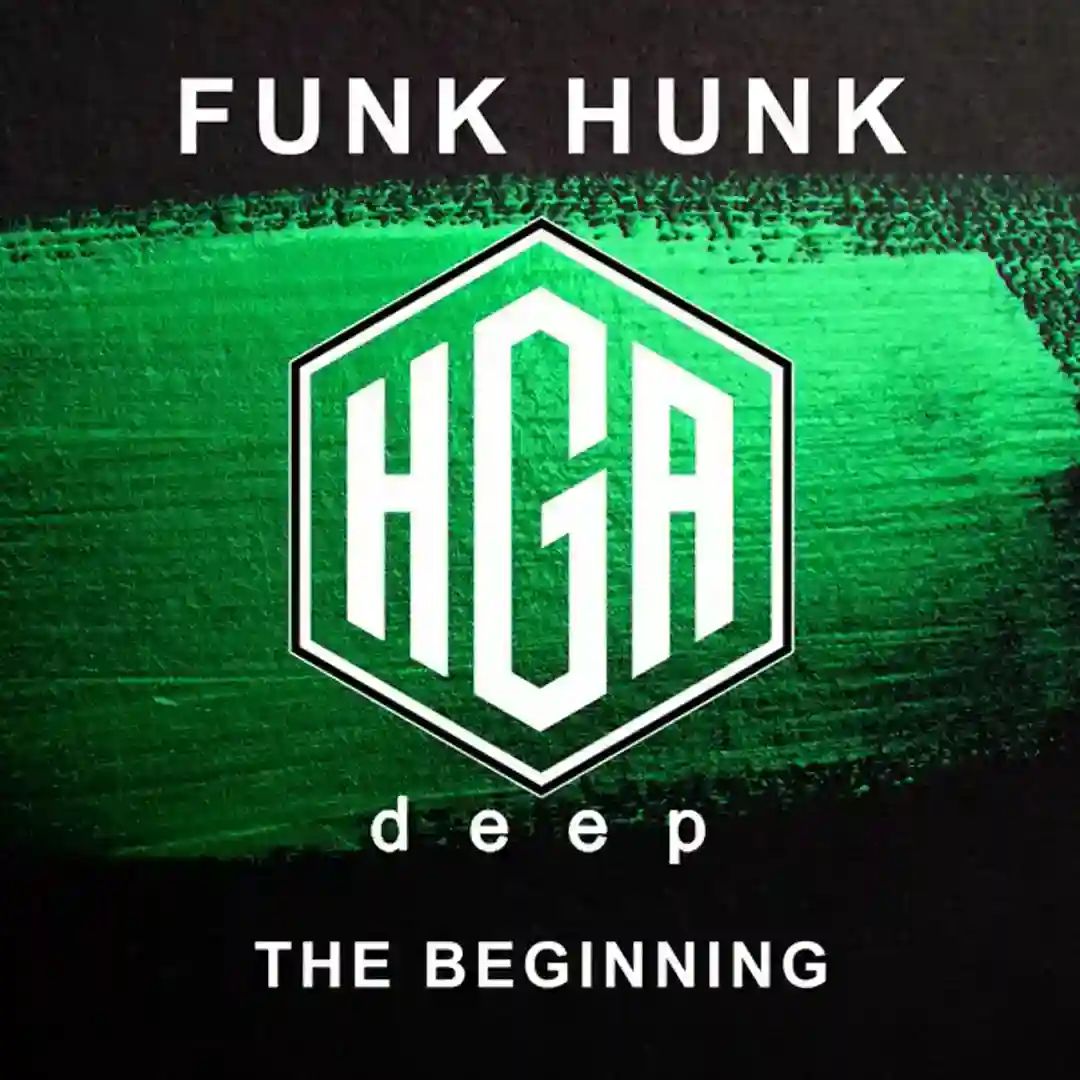 The Beginning (Original Mix) cover