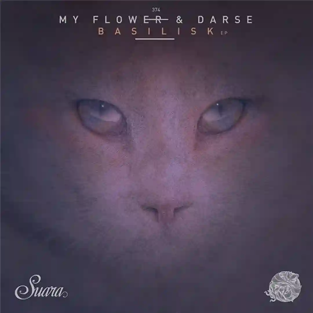 Echidna (Original Mix) cover
