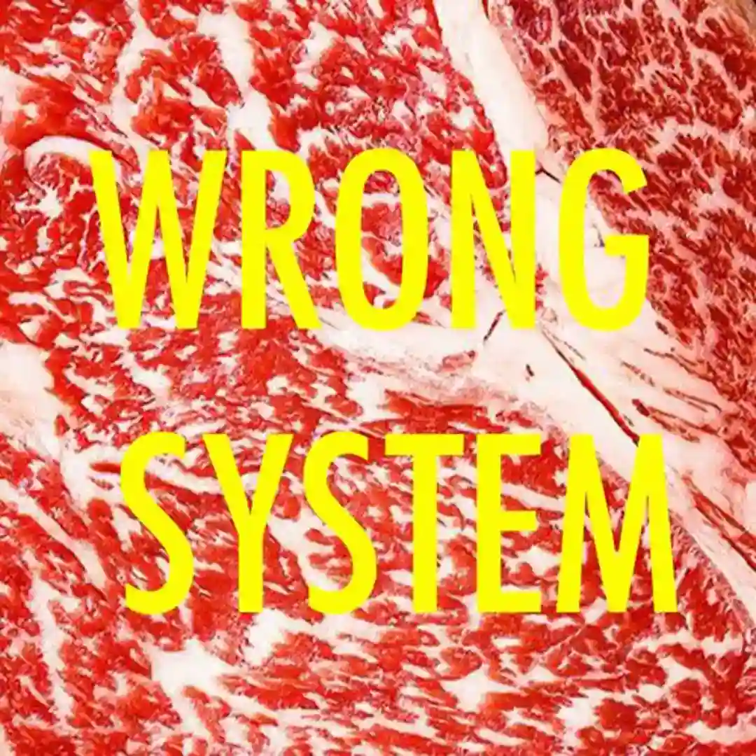 Wrong System (Nico Raibak Remix) cover