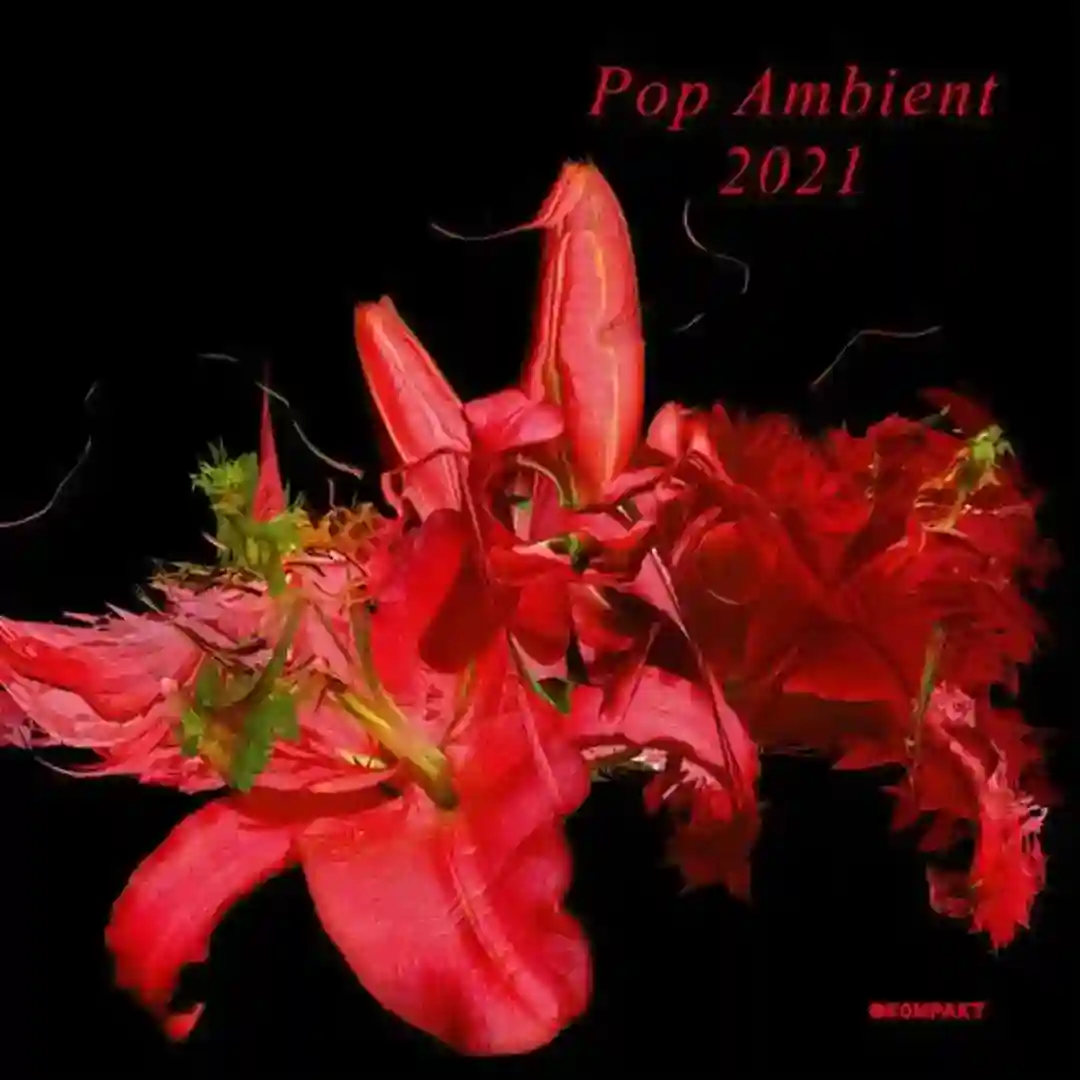 Asphaltfluss cover