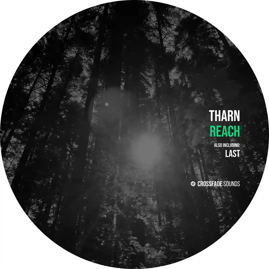 Reach (Alternative Mix) cover