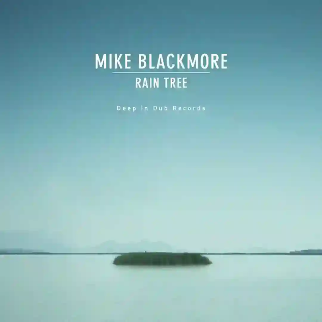 Mike Blackmore - No Answer cover