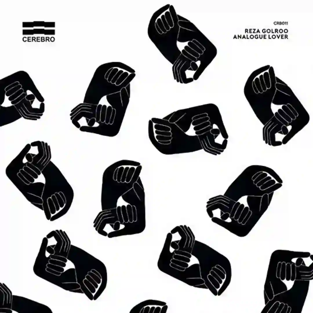 Analogue Lover (Original Mix) cover
