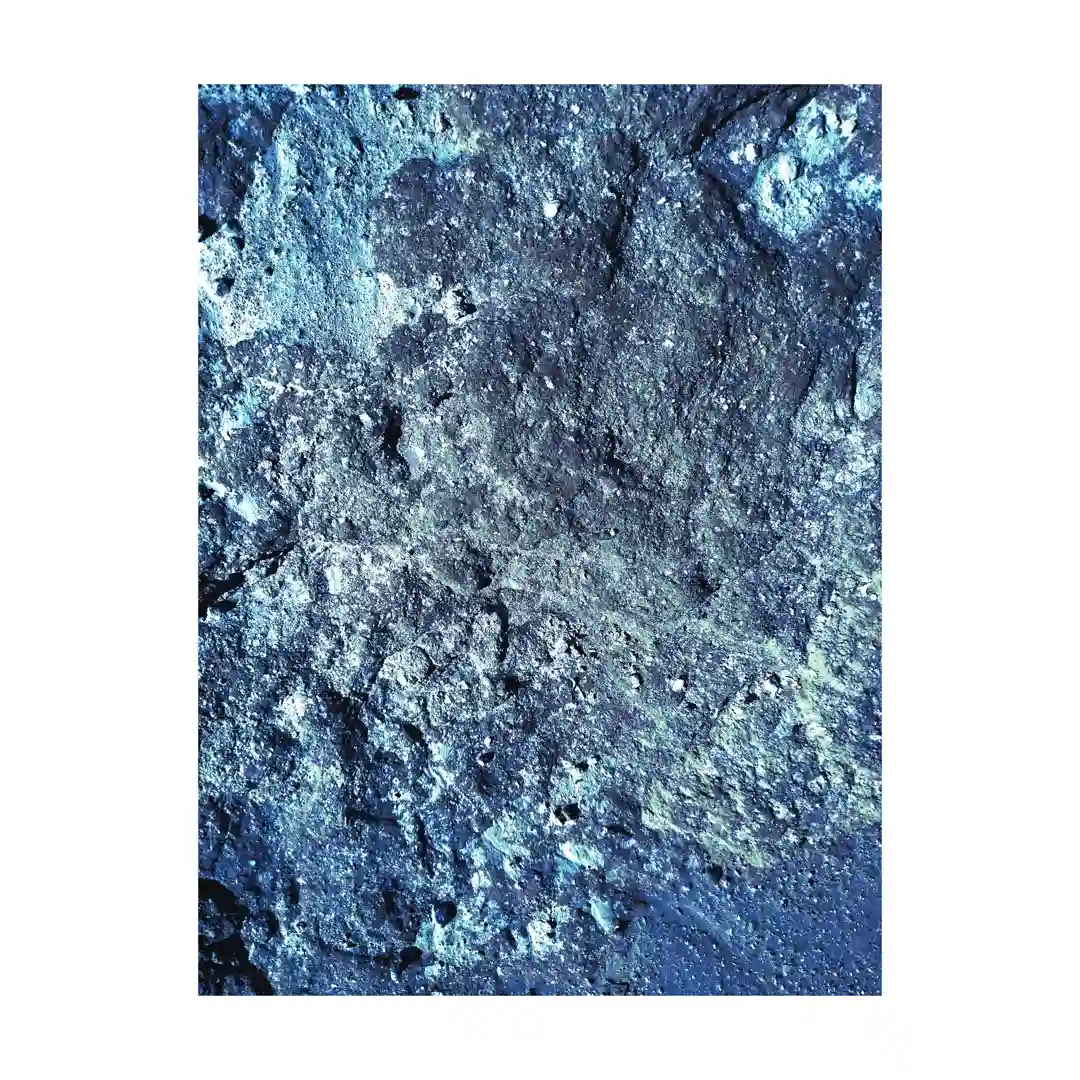 Layout 008 cover