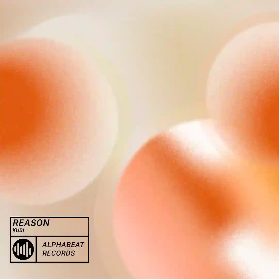 Reason (Extended Mix) cover