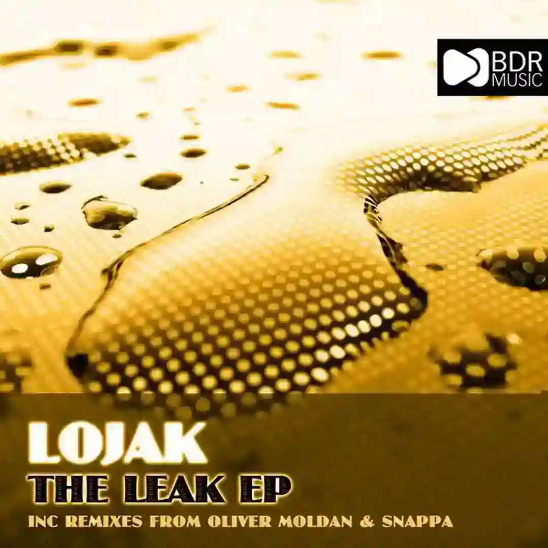 The Leak (Oliver Moldan Remix) cover