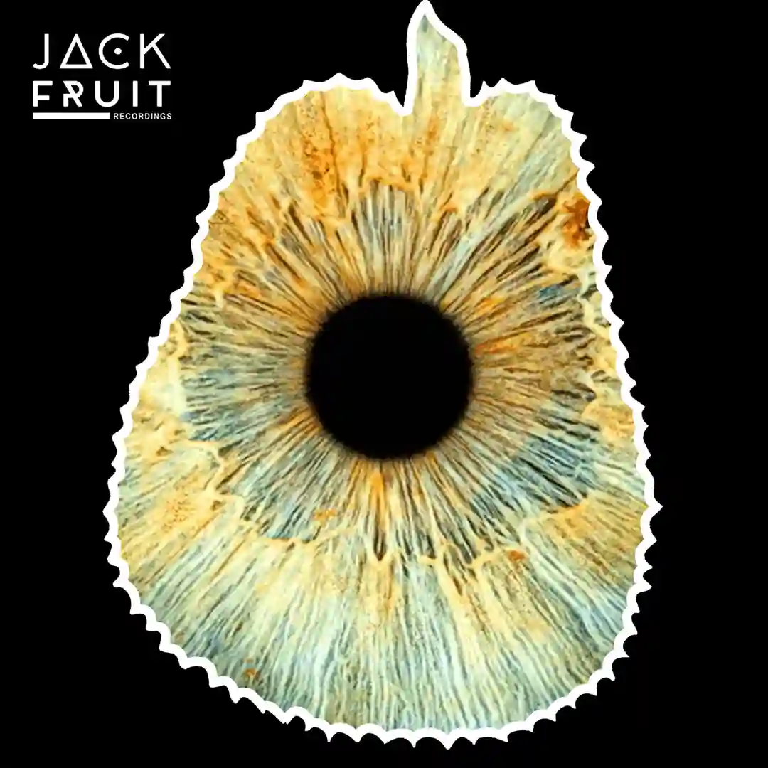 Groove Lab cover