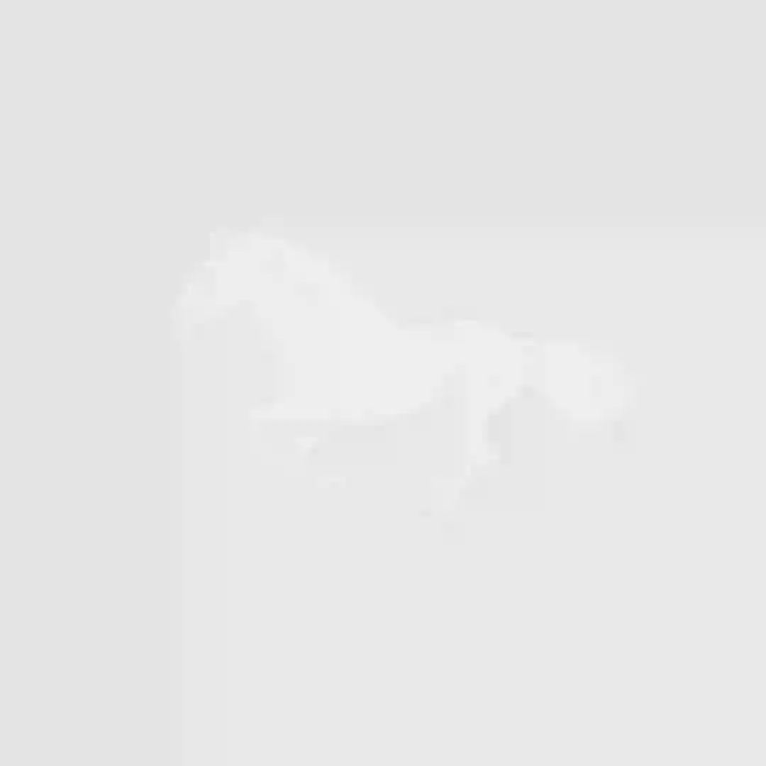 White Horse cover