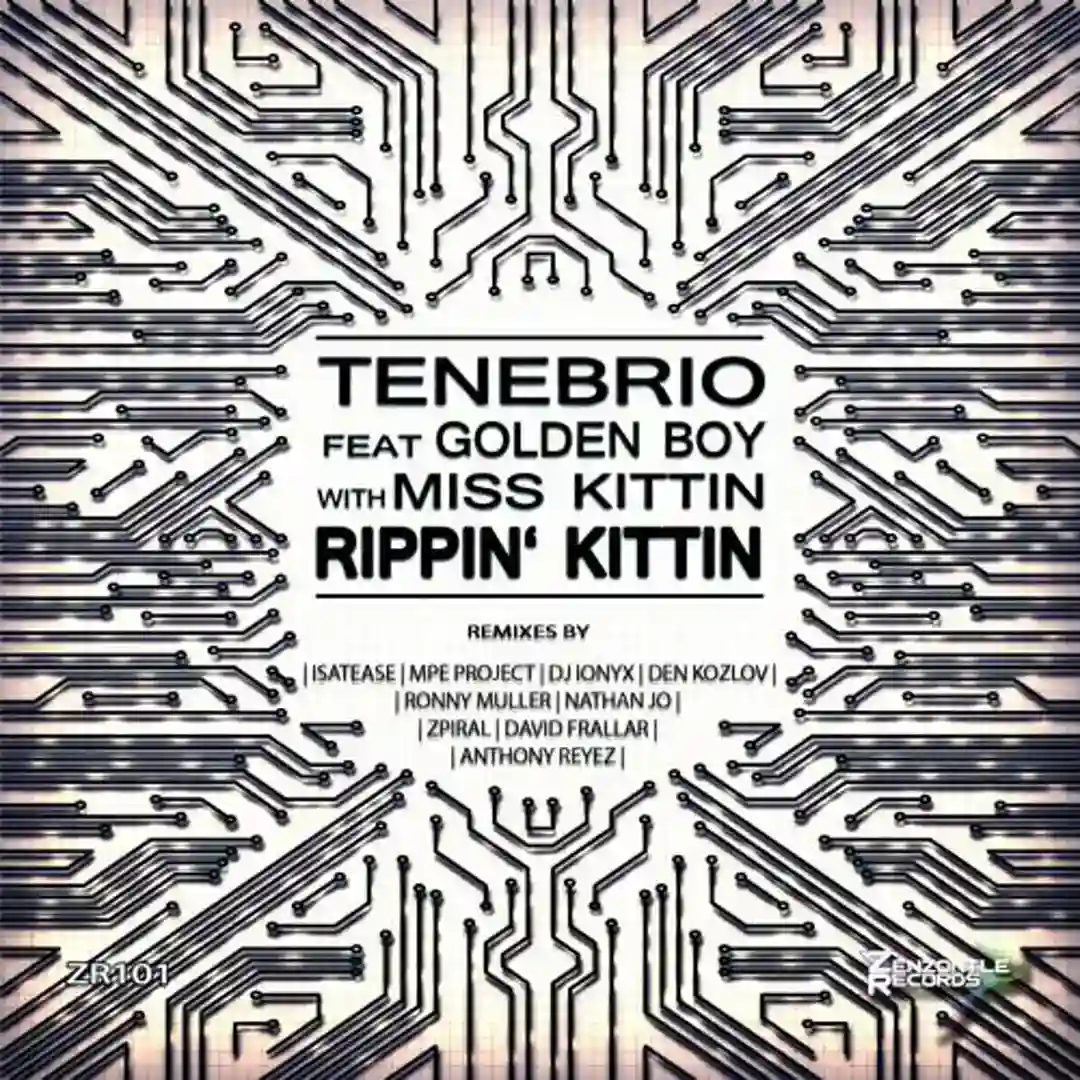 Rippin' Kittin (Den Kozlov Remix) cover