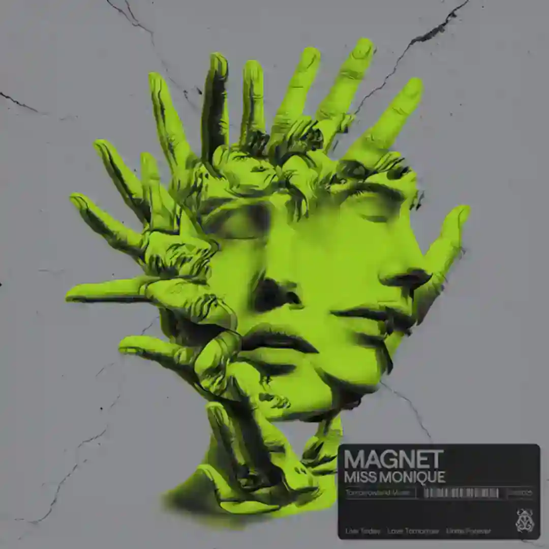 Magnet cover