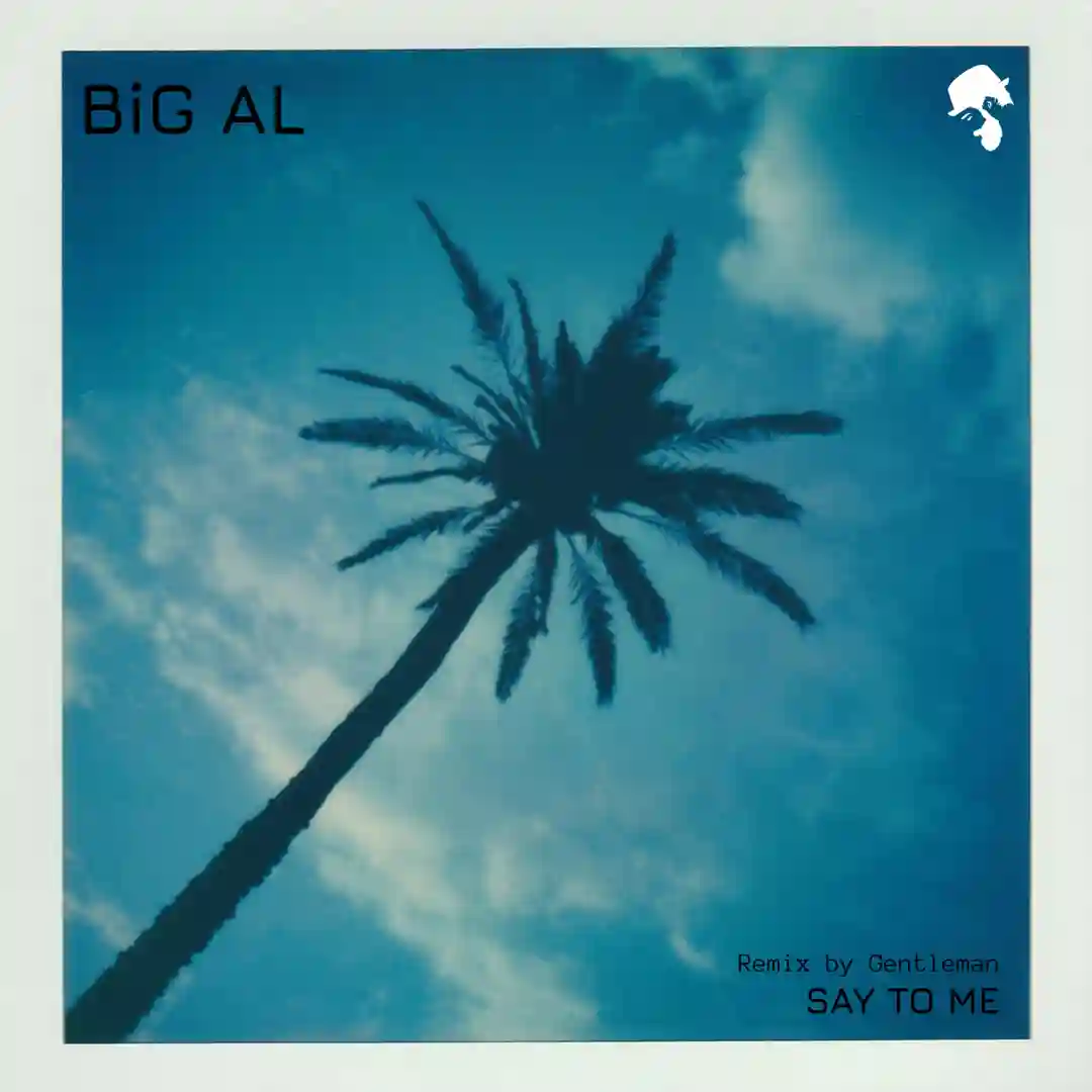 Say to Me (Instrumental Mix) cover