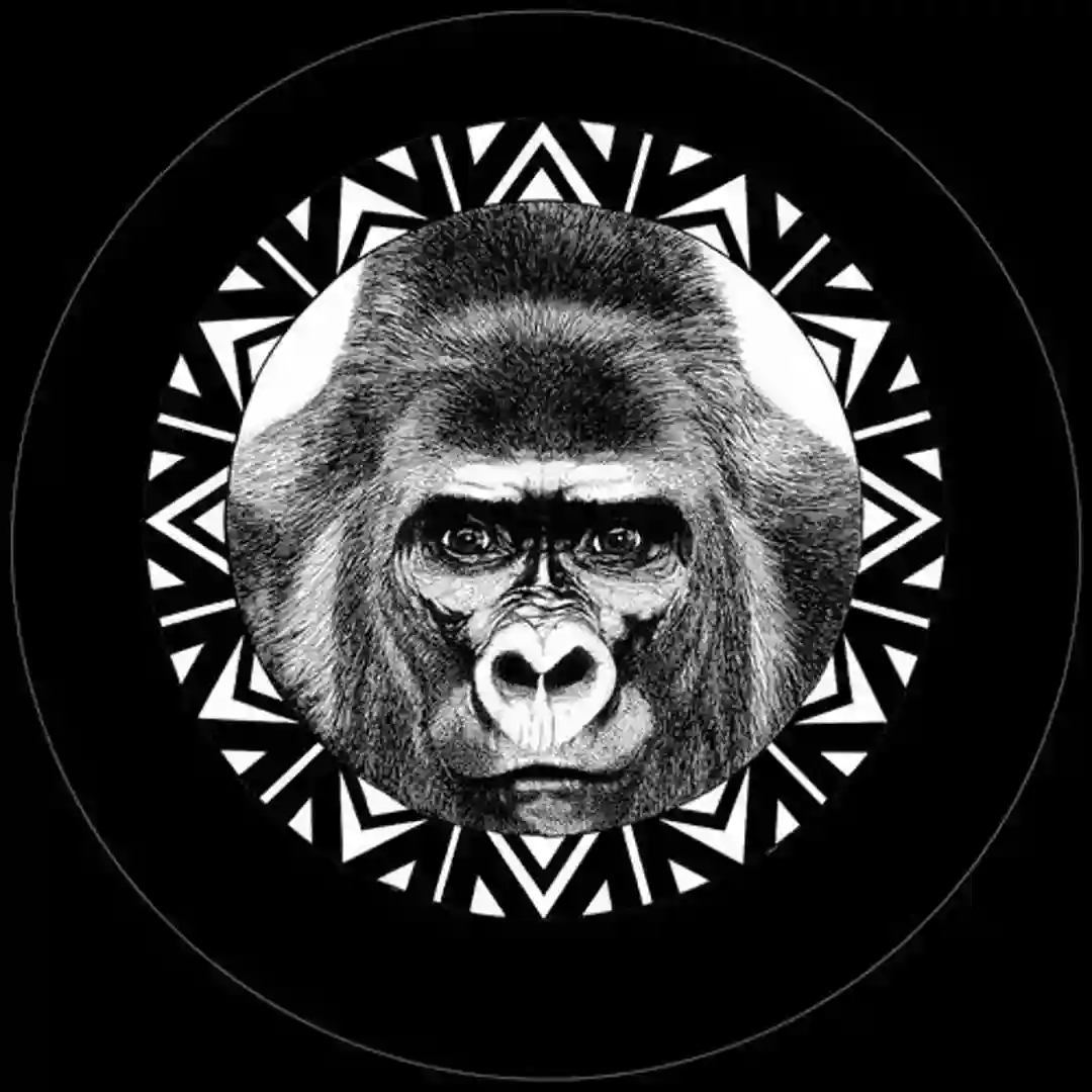 Monkey Trouble cover