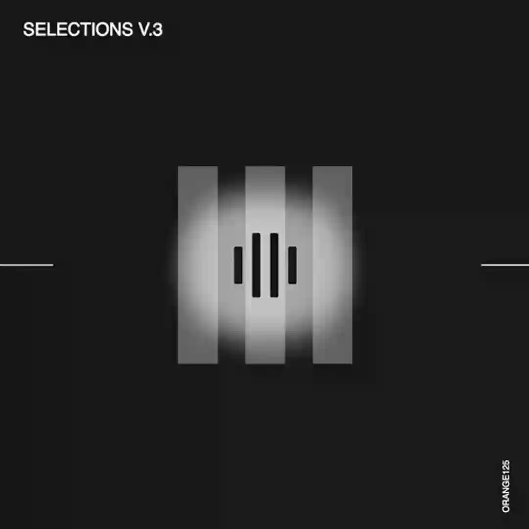 Selections V.3 cover