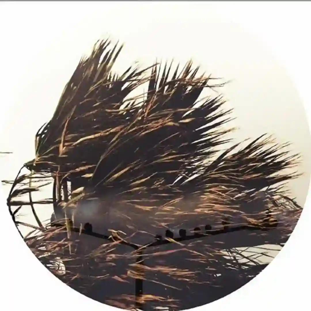 Breeze EP cover