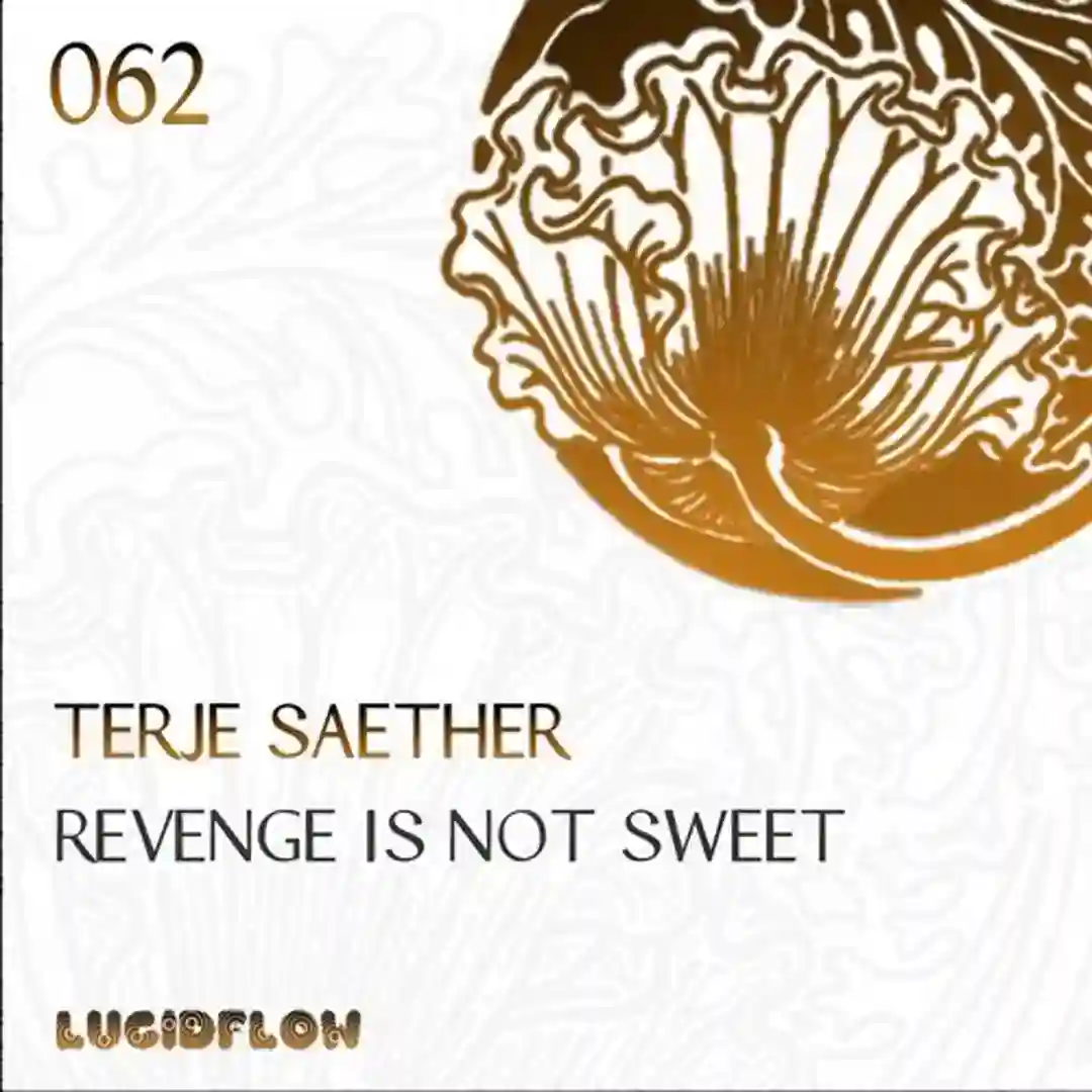 Not Sweet (Original Mix) cover