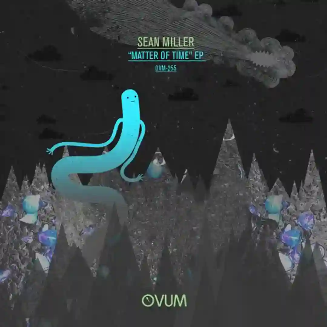 Vida (Original Mix) cover